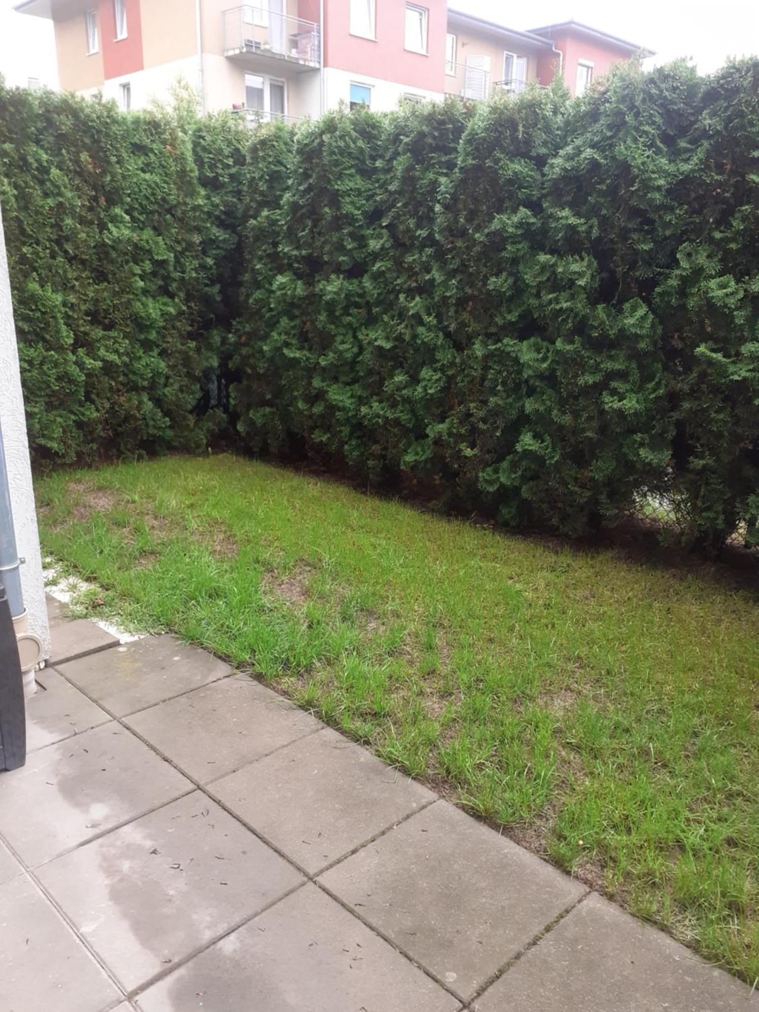 Sloneczny Apartament Z Malym Ogrodkiem Wejherowo Dış mekan fotoğraf